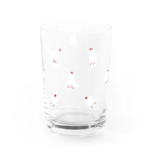 白文鳥さん専用 Water Glass