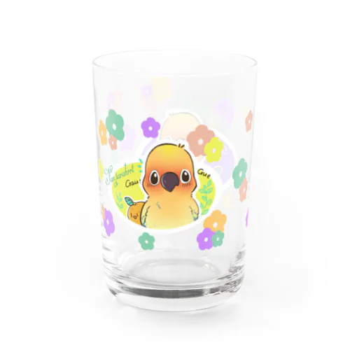柑橘ギャウシリーズ Water Glass