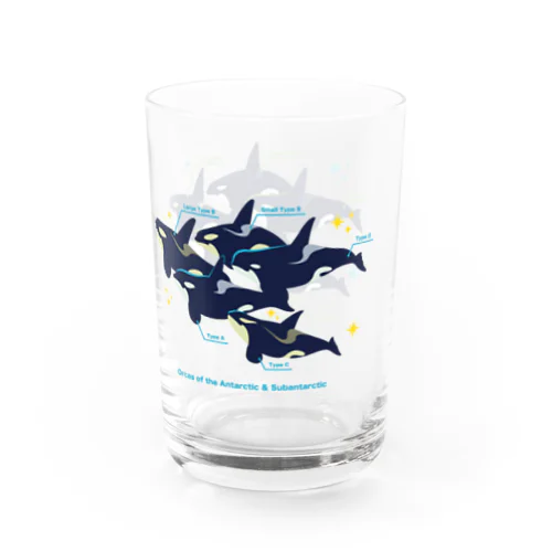 Type:Orcasマグカップ Water Glass