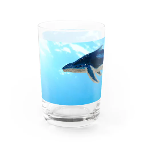 🐋ザトウクジラでっす❗️ Water Glass