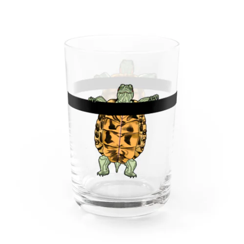 アナタを見てくるアカミミガメ Water Glass