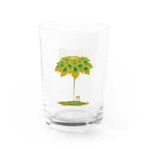 ジユウ Water Glass