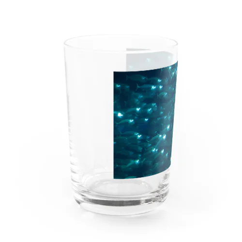 一緒に泳いじゃう？ Water Glass