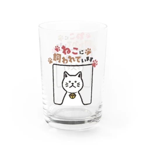 ねこに飼われています【しろ】 Water Glass