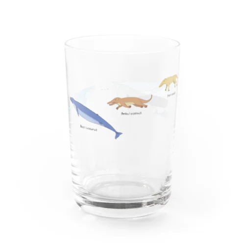 おおむかしのクジラグラス Water Glass