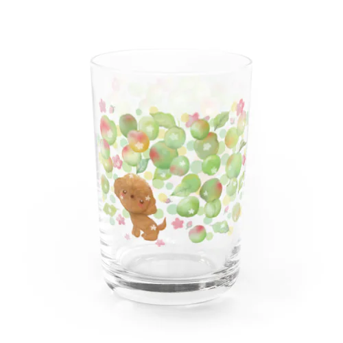 トイプードルと梅の実 グラス