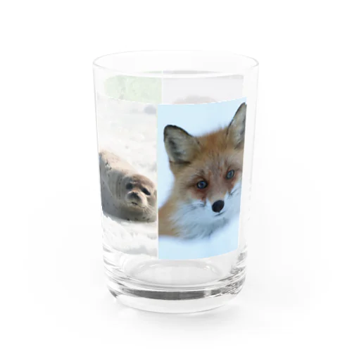 【サロベツの動物】四季折々 Water Glass