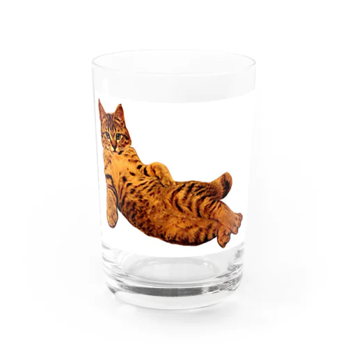 Elegant Cat ③ Water Glass