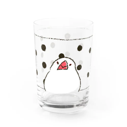 あの筒文鳥 Water Glass