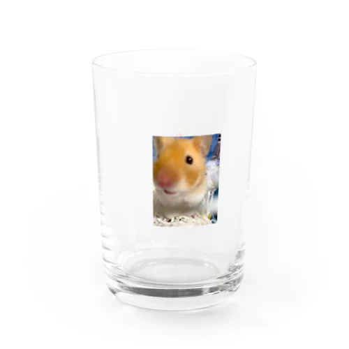 かにちゃんリオピンハウス Water Glass