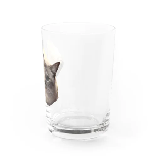 ストニャン Water Glass