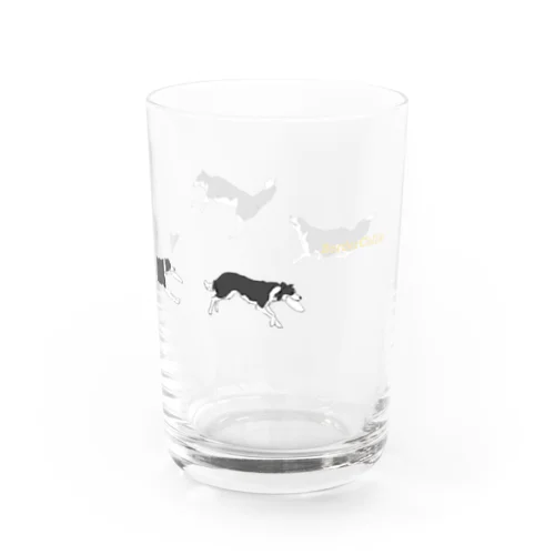 Bordercollie disc Water Glass