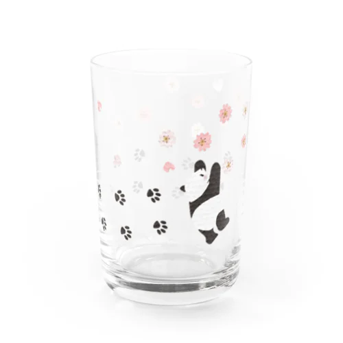 桜咲くパンダ Water Glass