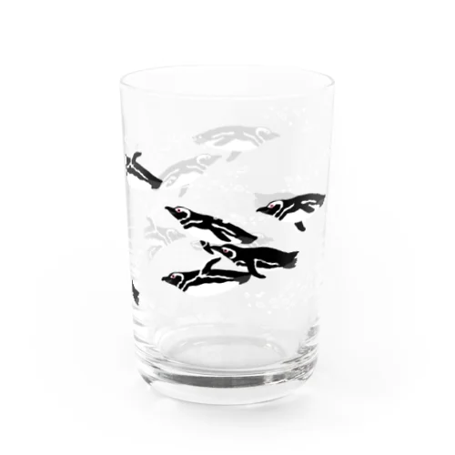 マゼラン水槽前 Water Glass