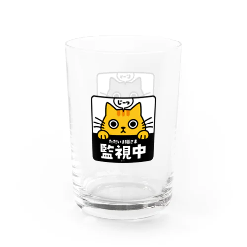 じーっとみる猫・猫さま監視中！（トラ猫&灰色猫） Water Glass