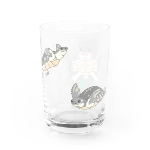 泳ぐスッポンモドキ Water Glass