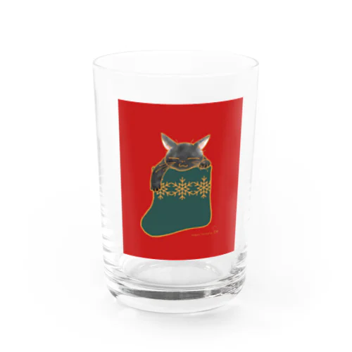 靴下猫あります🧦　赤 黒猫 グラス