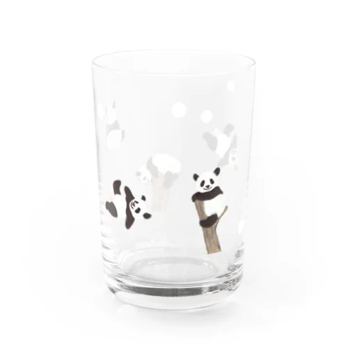 パンダぱんだ Water Glass