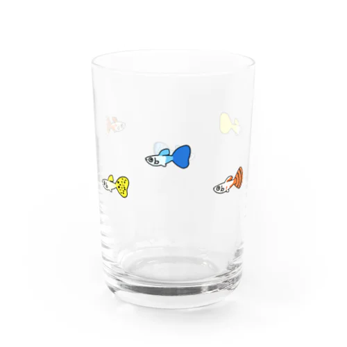 グッピー Water Glass