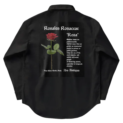 背面プリント Rosales Rosaceae 'Rosa' 2 Work Shirt