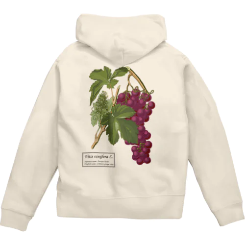 ヨーロッパブドウ（Vitis vinifera） Zip Hoodie