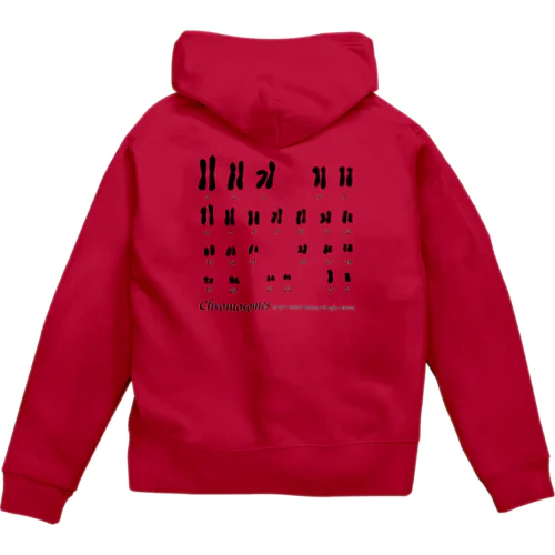 【学習シリーズ】染色体 Zip Hoodie