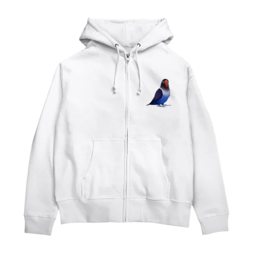 ボタンインコ　おすましコバルトブルー【まめるりはことり】 Zip Hoodie