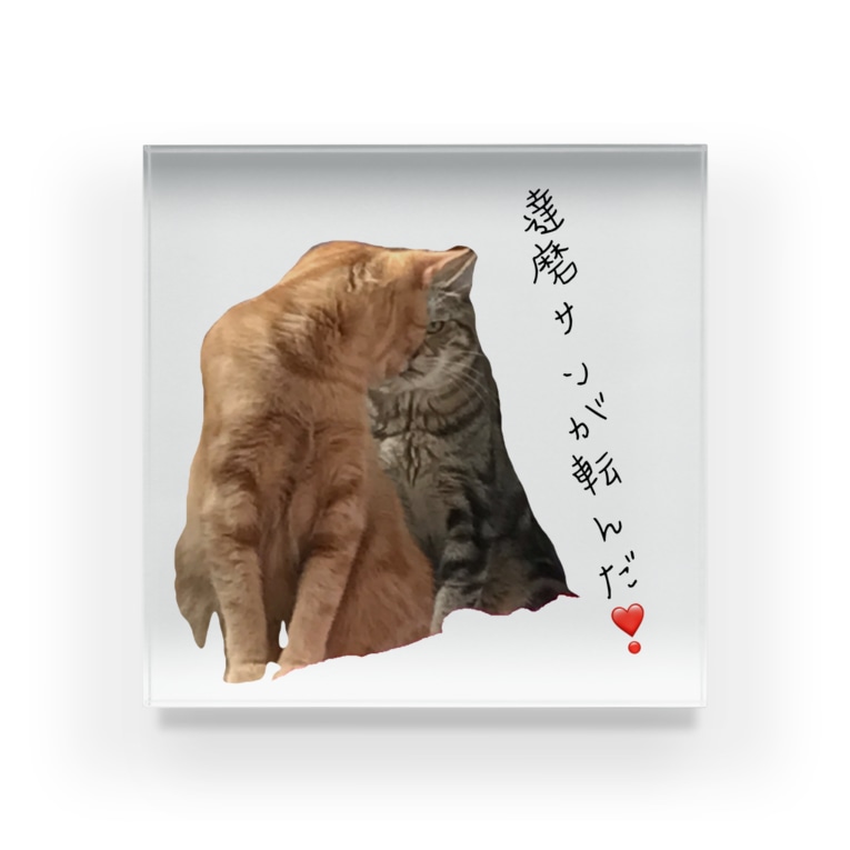 猫族 犬族の部屋 達磨ｻﾝが転んだ 猫族 犬族の部屋 Nekozoku777ningenka のアクリルブロック通販 Suzuri スズリ