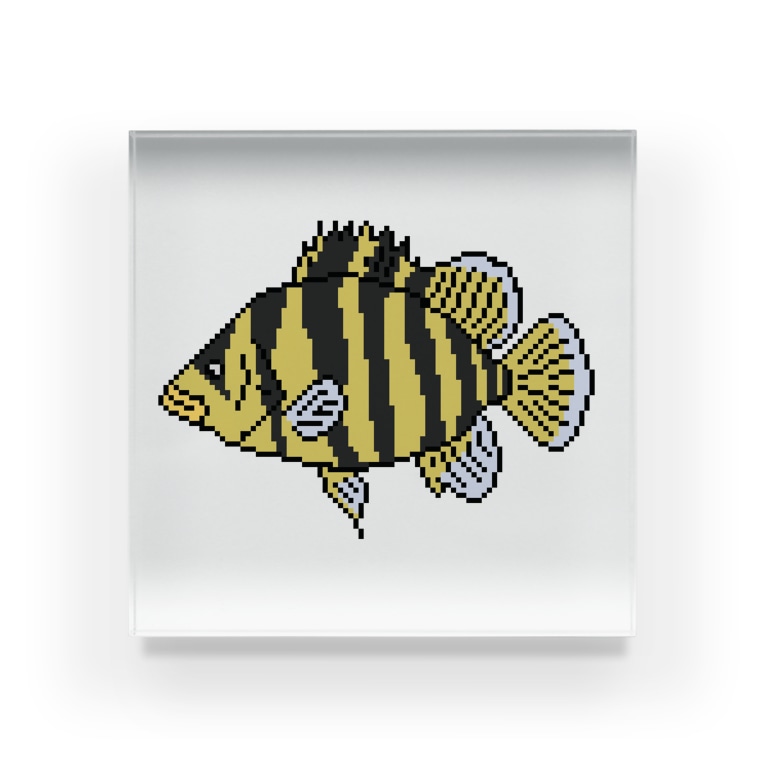 ドット絵怪魚 ダトニオプラスワン 華廠楼 かしょうろう Kashowro のアクリルブロック通販 Suzuri スズリ ドット絵怪魚 ダトニオプラスワン 華廠楼 かしょうろう Kashowro のアクリルブロック通販 Suzuri スズリ