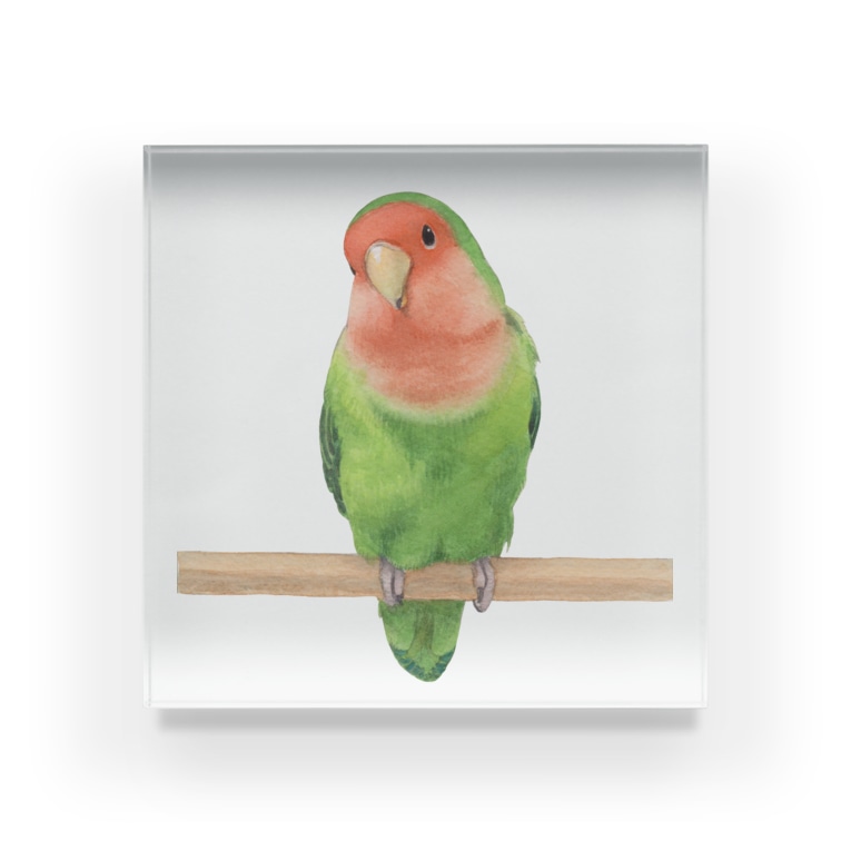 コザクラインコ Teadrop C Teadrop のアクリルブロック通販 Suzuri スズリ コザクラインコ Teadrop C Teadrop のアクリルブロック通販 Suzuri スズリ