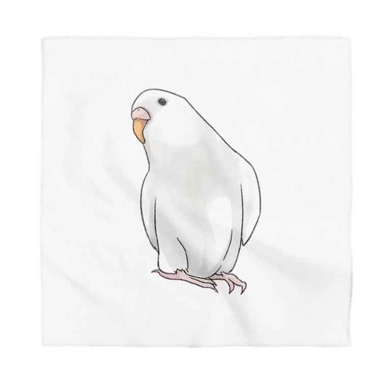 アルビノセキセイインコちゃん まめるりはことり まめるりはことり Mamelurihakotori のバンダナ通販 Suzuri スズリ アルビノセキセイインコちゃん まめるりはことり まめるりはことり Mamelurihakotori のバンダナ通販 Suzuri スズリ