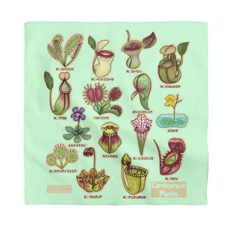 食虫植物図鑑 バンダナ 背景カラー すとろべりーガムfactory Frisk5 のバンダナ通販 Suzuri スズリ 食虫植物図鑑 バンダナ 背景カラー すとろべりーガムfactory Frisk5 のバンダナ通販 Suzuri スズリ