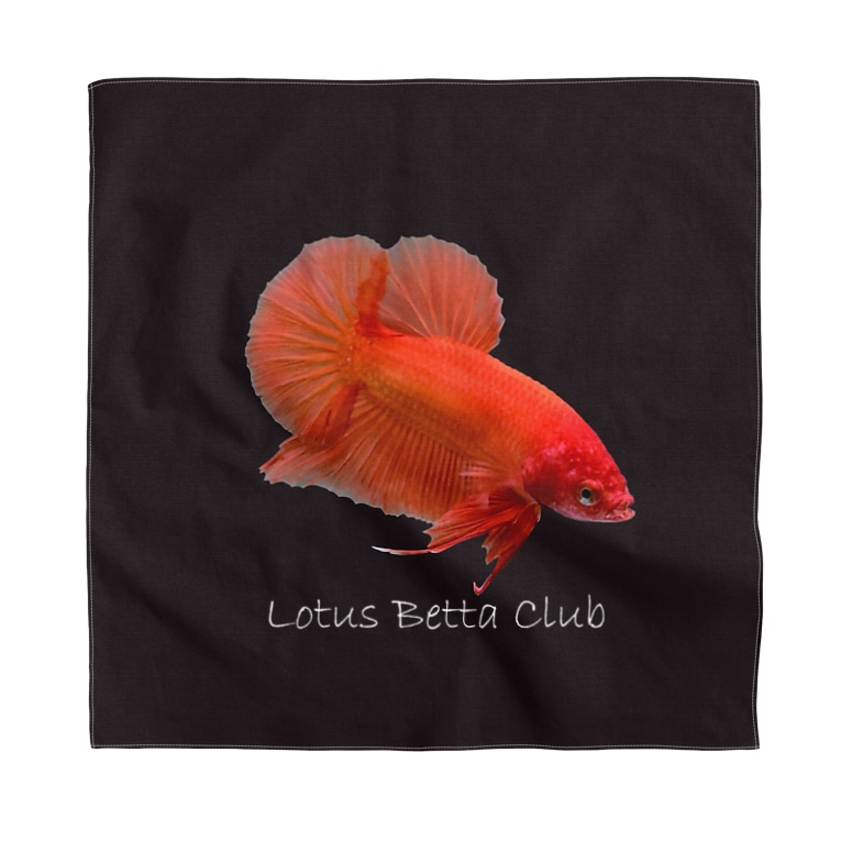ベタのバンダナ オレンジ Lotus Betta Club Lotus Betta のバンダナ通販 Suzuri スズリ ベタのバンダナ オレンジ Lotus Betta Club Lotus Betta のバンダナ通販 Suzuri スズリ