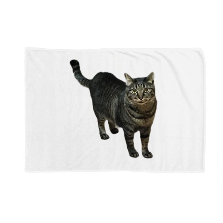 キジ猫ミミちゃん Blankets By キジ猫 Mimi Anzu Mmc Suzuri キジ猫ミミちゃん Blankets By キジ猫 Mimi Anzu Mmc Suzuri