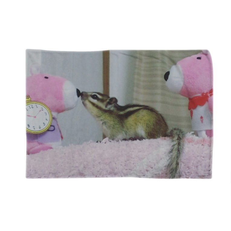 シマリスくんとまろん Saya Mrnknkanz のブランケット通販 Suzuri スズリ シマリスくんとまろん Saya Mrnknkanz のブランケット通販 Suzuri スズリ
