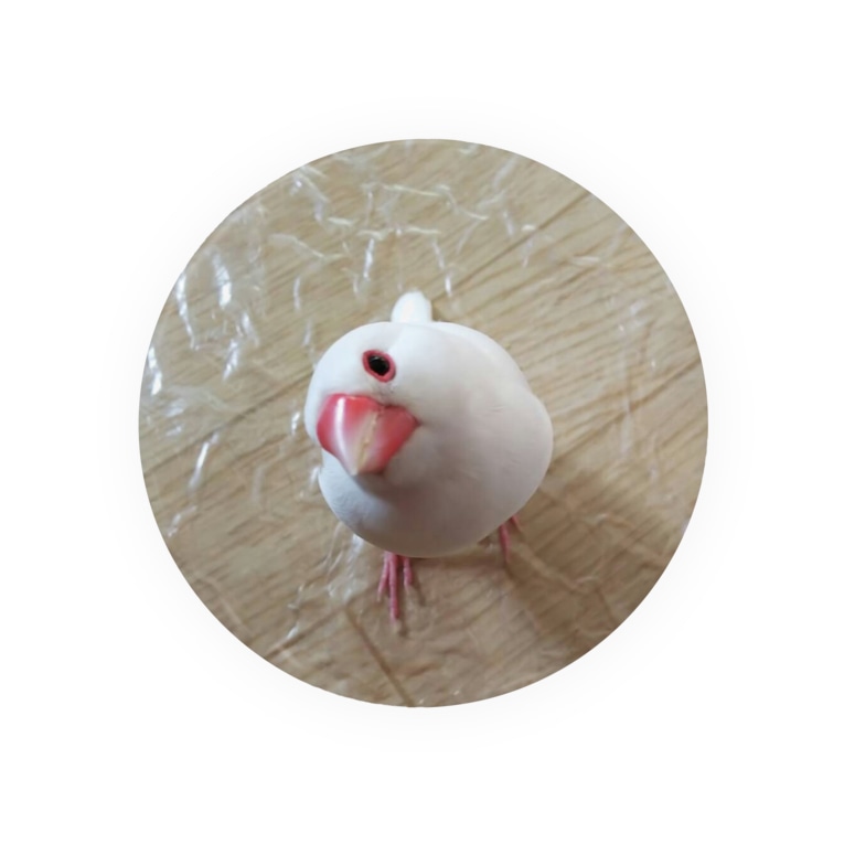 小首を傾げる白文鳥さん Badges By Lily Bird リリーバード Nqm5yeeoge0lude Suzuri 小首を傾げる白文鳥さん Badges By Lily Bird リリーバード Nqm5yeeoge0lude Suzuri