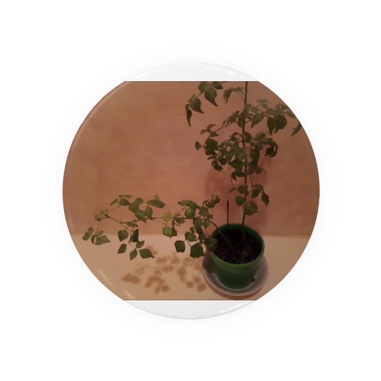 観葉植物 ピンクピック Emuyou の缶バッジ通販 Suzuri スズリ 観葉植物 ピンクピック Emuyou の缶バッジ通販 Suzuri スズリ