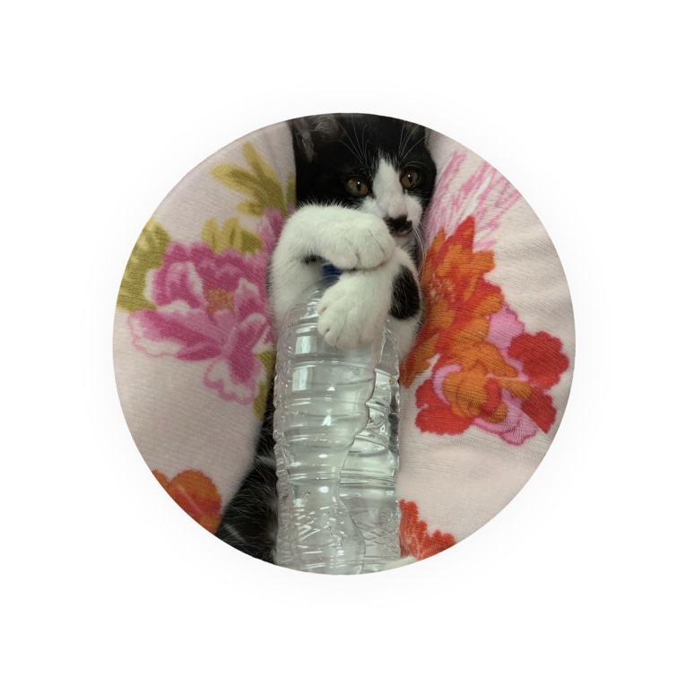 ペットボトルを抱える猫 Badges By 高橋わたがし Takahashiwatagasi Suzuri ペットボトルを抱える猫 Badges By 高橋わたがし Takahashiwatagasi Suzuri