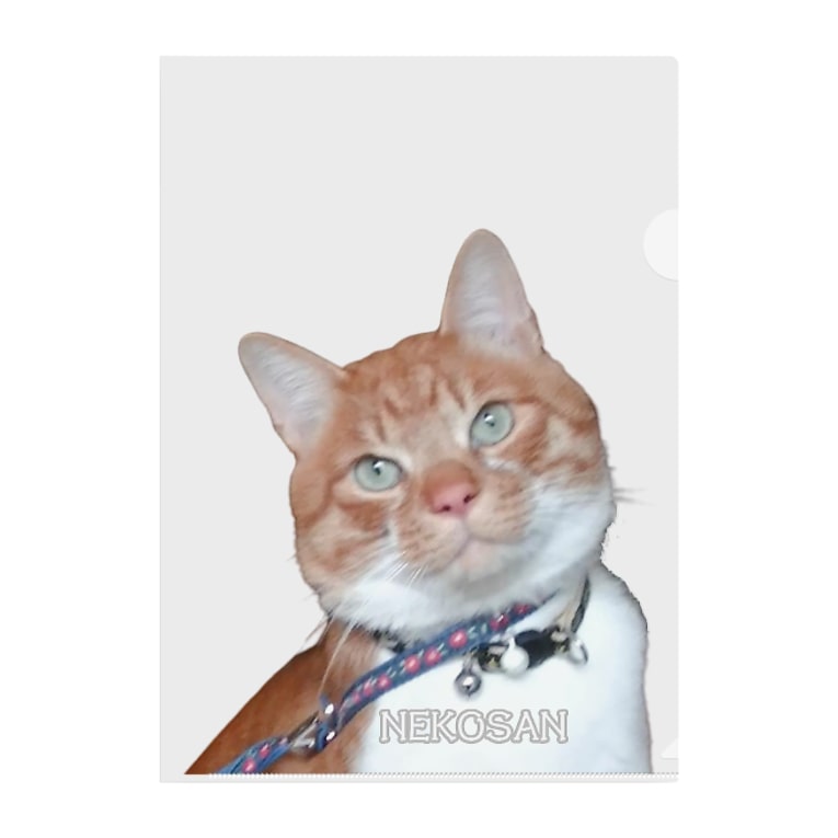 得意げ 猫さんプレーン Clear File Folder By 壁かべshop Suzuri店 Kabekabeshop Suzuri