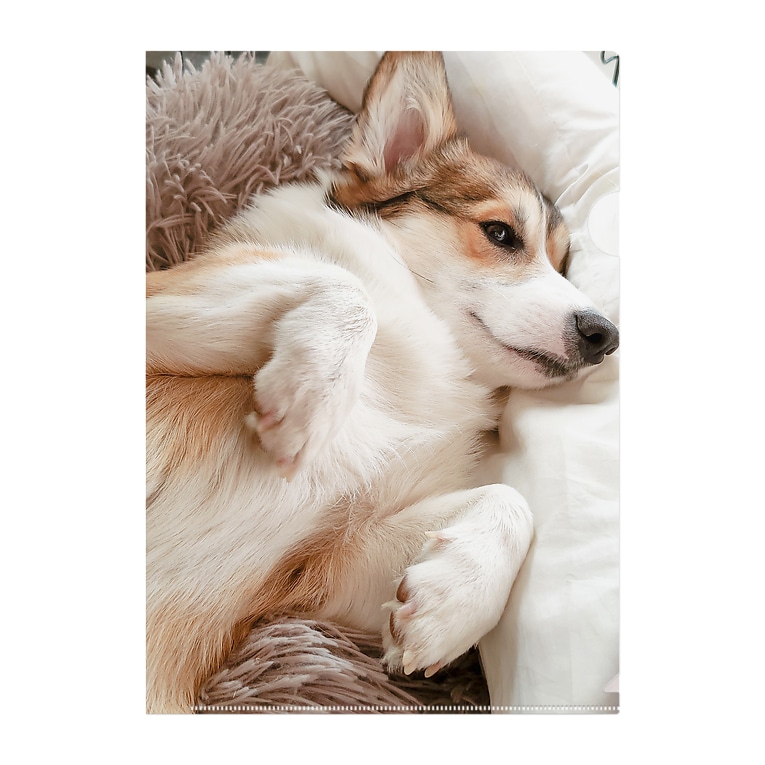 ごろごろコーギー犬のロック コーギーショップ Corgi Lock のクリアファイル通販 Suzuri スズリ