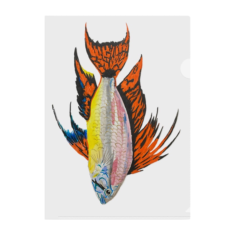 アピストグラマ カカトゥオイデスだぞっ Coshi Mild Wild Koshi Clapton のクリアファイル通販 Suzuri スズリ アピストグラマ カカトゥオイデスだぞっ Coshi Mild Wild Koshi Clapton のクリアファイル通販 Suzuri スズリ