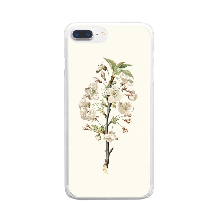 ボタニカル 花柄 植物 絵画プリント Clear Smartphone Cases Iphone By 夜間遊泳 aya Suzuri