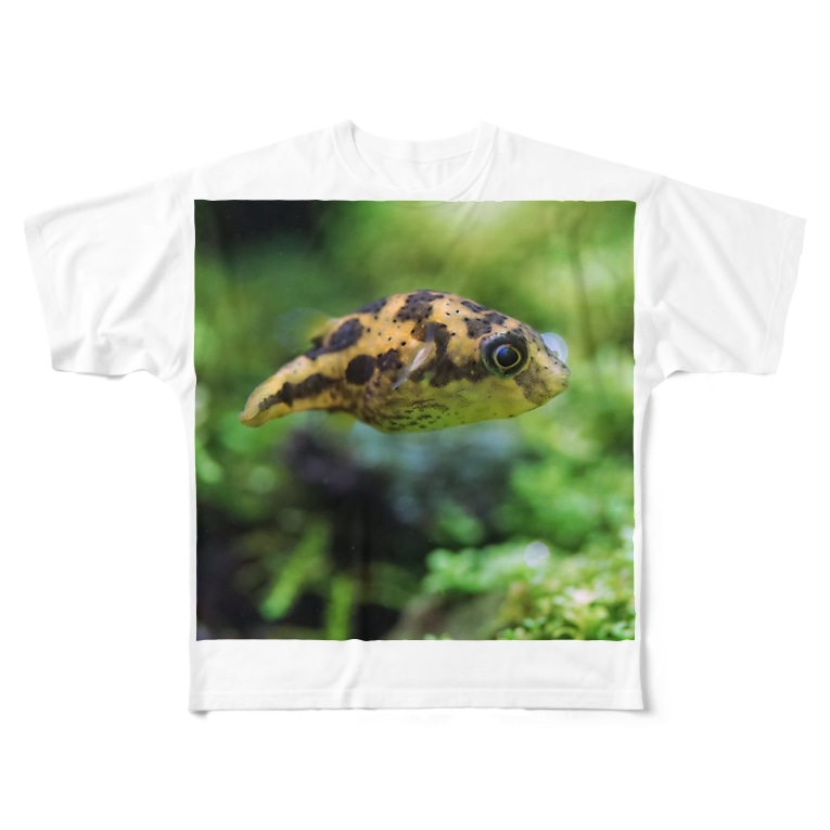 淡水フグ Kaerucafe Shop Kaerucafe のフルグラフィックtシャツ通販 Suzuri スズリ 淡水フグ Kaerucafe Shop Kaerucafe のフルグラフィックtシャツ通販 Suzuri スズリ