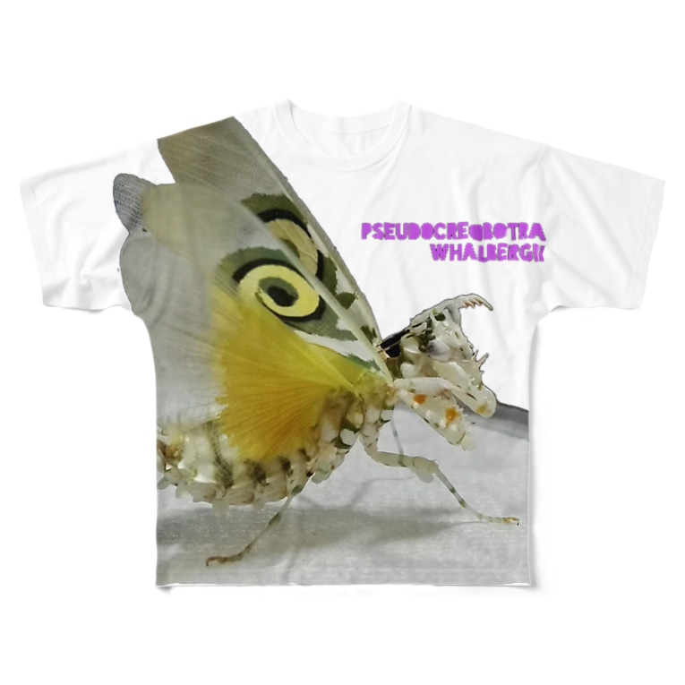 アフリカメダマカマキリはかっこいいぞ りおの飼育室 Mizmomosima のフルグラフィックtシャツ通販 Suzuri スズリ アフリカメダマカマキリはかっこいいぞ りおの飼育室 Mizmomosima のフルグラフィックtシャツ通販 Suzuri スズリ