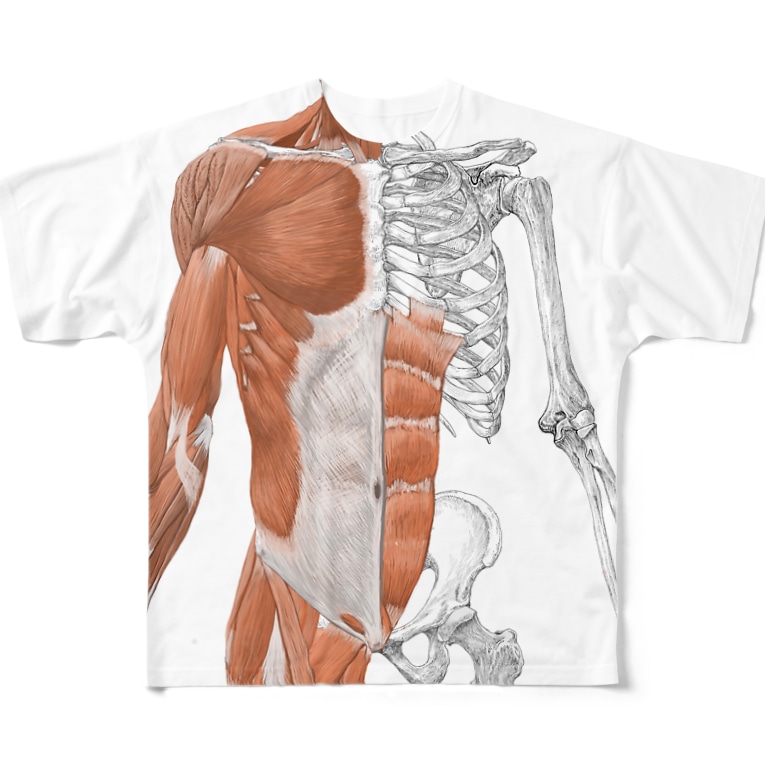 体幹骨格 筋肉 Full Graphic T Shirts By 小田隆 Studiocorvo Suzuri 体幹骨格 筋肉 Full Graphic T Shirts By 小田隆 Studiocorvo Suzuri