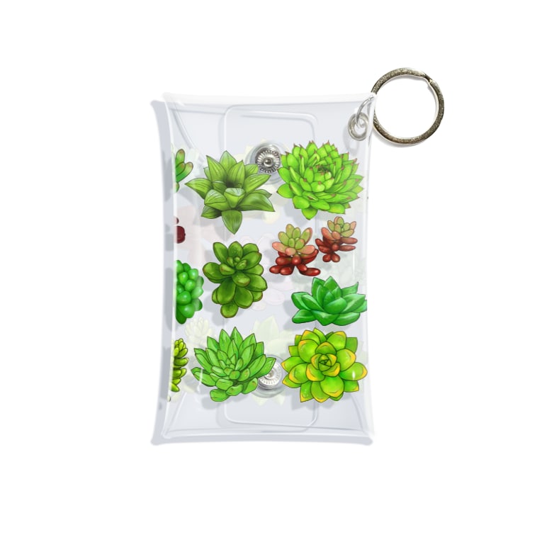 多肉植物寄せ植え 横長みっちり たまき岬 ストックイラスト Tamaki Kou のミニクリアマルチケース通販 Suzuri スズリ