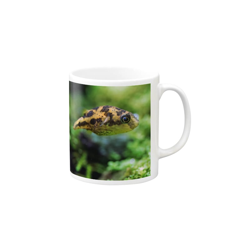 淡水フグ Kaerucafe Shop Kaerucafe のマグカップ通販 Suzuri スズリ 淡水フグ Kaerucafe Shop Kaerucafe のマグカップ通販 Suzuri スズリ