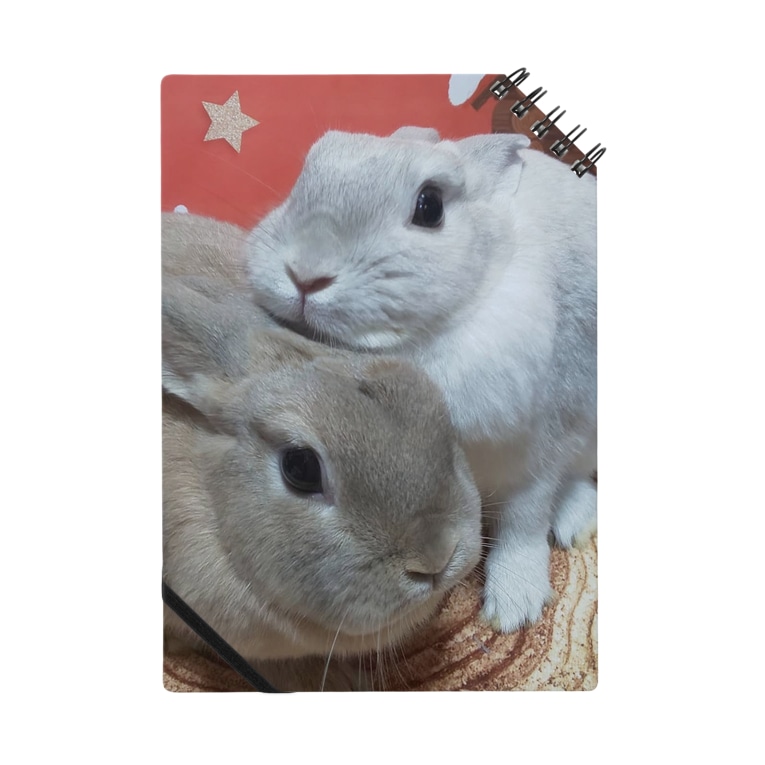 うさぎの仲良し姉妹 小雪 Amp マロン アゴ乗せ Notes By マサカズのうさぎ生活 Usaginomarukichi Suzuri うさぎの仲良し姉妹 小雪 Amp マロン アゴ乗せ Notes By マサカズのうさぎ生活 Usaginomarukichi Suzuri