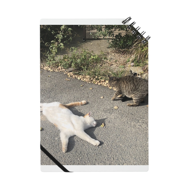石巻市網地島のねこ Shop Kagenekoのノート通販 Suzuri スズリ 石巻市網地島のねこ Shop Kagenekoのノート通販 Suzuri スズリ