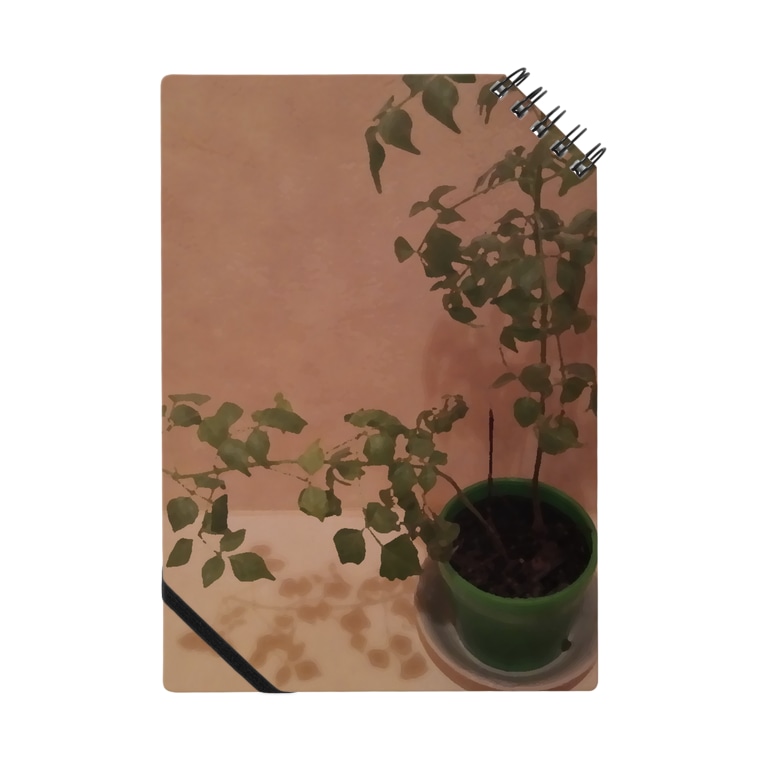 観葉植物 ピンクピック Emuyou のノート通販 Suzuri スズリ 観葉植物 ピンクピック Emuyou のノート通販 Suzuri スズリ